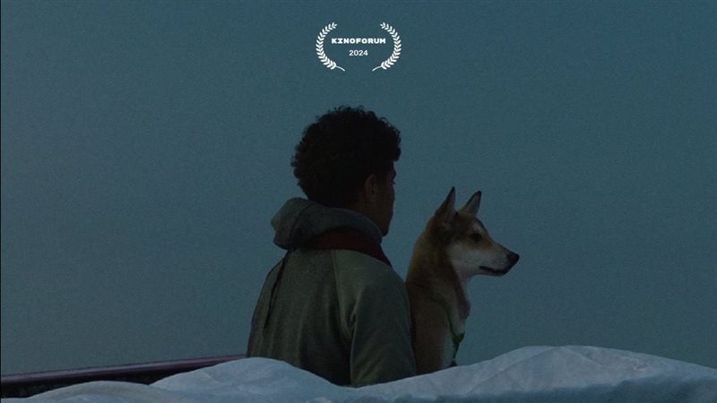 بوستر فيلم أمانة