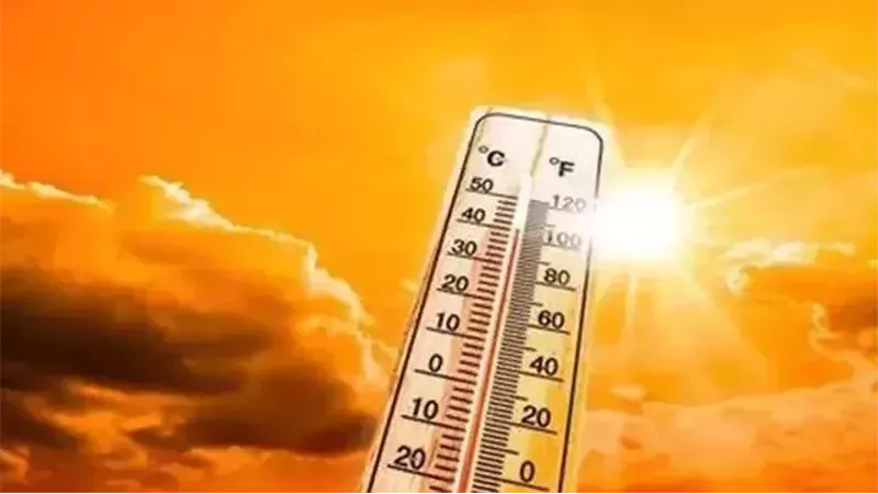 حالة الطقس، فيتو
