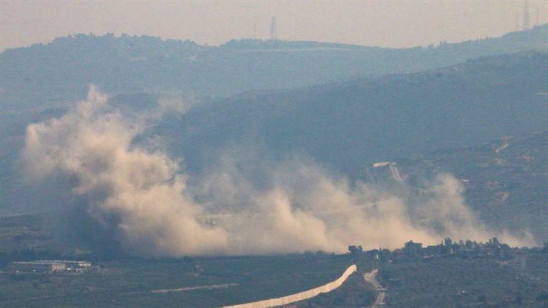 جنوب لبنان، فيتو