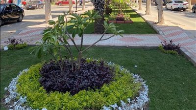 محافظ الإسماعيلية يتابع أعمال تطوير شارع عرابي وتحويله إلى ممشى عام (صور)