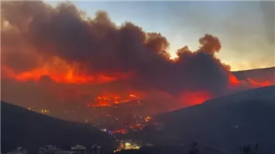 حريق الغابات يمتد إلى المناطق السكنية في إزمير التركية، وإصابة 78 شخصا (فيديو)