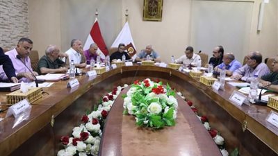 تفويض رؤساء مراكز الوادي الجديد بسحب الأراضي من المستثمرين غير الجادين 