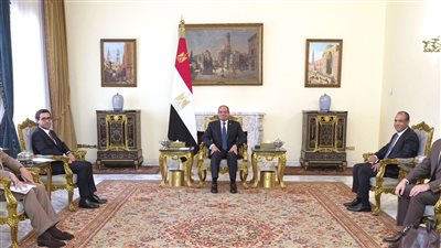 السيسي يؤكد لوزير خارجية فرنسا ضرورة اغتنام المفاوضات لحقن الدماء بغزة