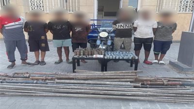  ضبط 14 شخصا لارتكابهم جرائم سرقات متنوعة بالقاهرة (صور)