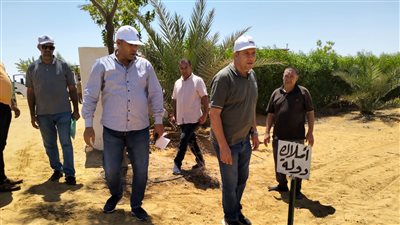 استرداد 1194 فدانا من أملاك الدولة في وادى النطرون