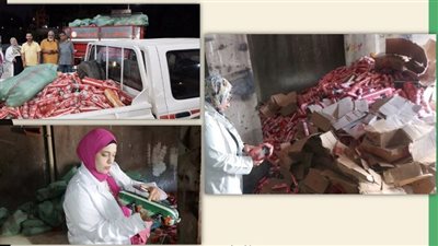 بيطري الشرقية يضبط 11 طن مصنعات لحوم مخالفة ببلبيس 