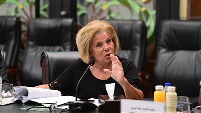 رئيس القومي لحقوق الإنسان تطالب بسرعة إقرار قانون الإجراءات الجنائية الجديد