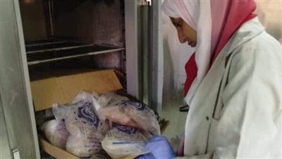 ضبط ١٠ أطنان دواجن ورنجة فاسدة بالغربية (صور)