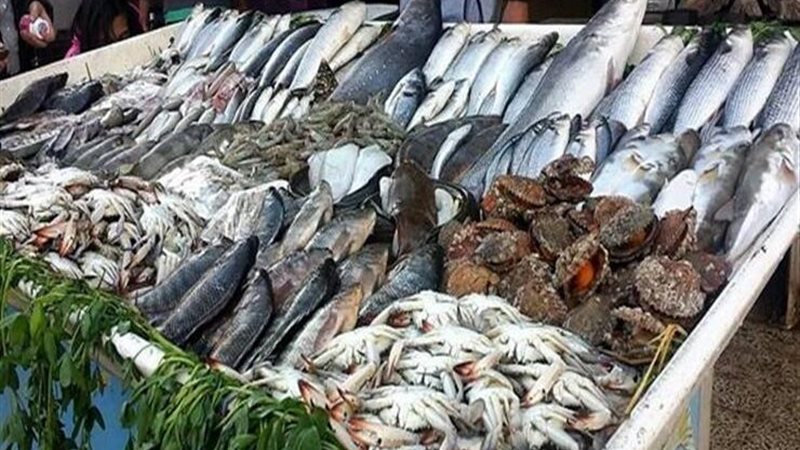 أسعار الأسماك والجمبري