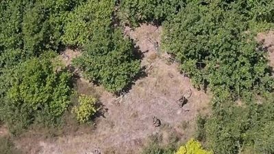 القضاء على 16 جنديا أوكرانيا عند قرية حدودية بمقاطعة كورسك