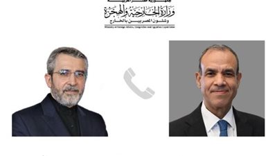 وزير الخارجية يبحث مع نظيره الإيراني جهود احتواء التصعيد في المنطقة