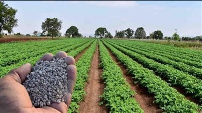 4 تشريعات مطلوب تعديلها لدعم الزراعة، أبرزها نقابة الفلاحين 