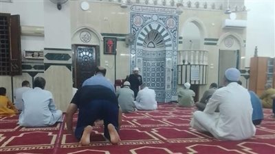 حملة بعنوان “ألا إن نصر الله قريب” بالوادي الجديد لدعم القضية الفلسطينية