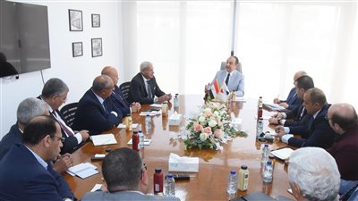 وزير قطاع الأعمال يبحث مع شعبة وسائل النقل التعاون في صناعة السيارات