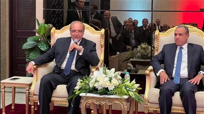 وزير الخارجية: الدولة تولي اهتماما كبيرا بالجاليات المصرية حول العالم