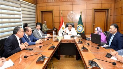 محافظ الدقهلية: مشروع 