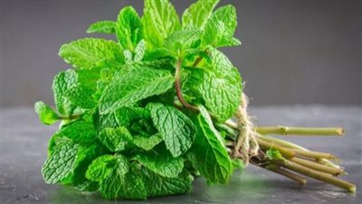 فوائد النعناع، ينظم عملية الهضم ويقوى المناعة ويزيد من جمال البشرة والشعر