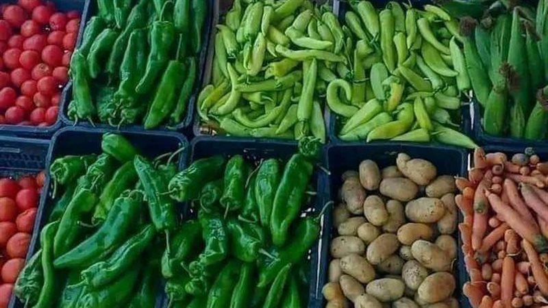 أسعار الخضراوات في