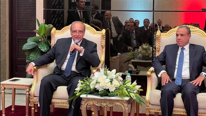 بدر عبد العاطي وزير