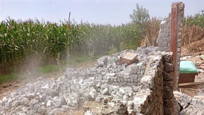 إزالة 17 حالة تعدي على الأراض الزراعية بمحافظة الشرقية 