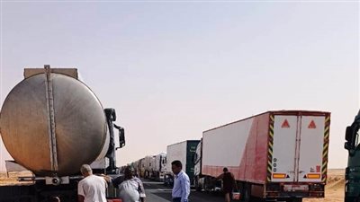 التنسيق لتسهيل الحركة بين مصر والسودان عبر الموانئ البرية (صور)