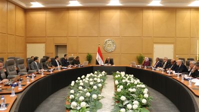 وزير الكهرباء يؤكد الالتزام بالخطة الزمنية لتشغيل مشروع الربط الكهربائي المصري السعودي