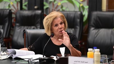 رئيس القومي لحقوق الإنسان تستعرض مميزات قانون الإجراءات الجنائية الجديد 