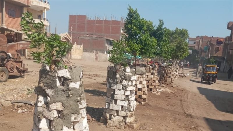 زراعة 500 شجرة بمركز
