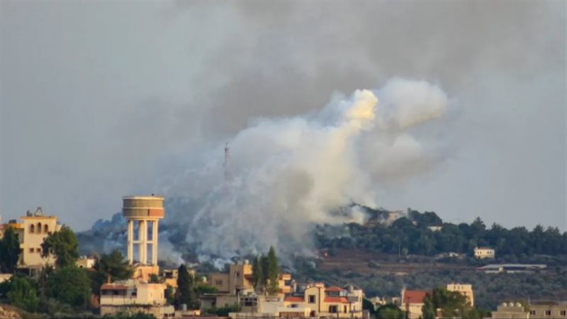 لبنان، فيتو