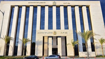 5548 فرصة عمل جديدة في 84 شركة خاصة تنتظر شباب 11 مُحافظة 