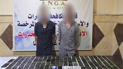 ضبط 5 عناصر إجرامية بحوزتهم مخدرات بـ 6 ملايين جنيه بالبحيرة والإسكندرية