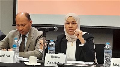 الضرائب: مصر تسعى لجذب المزيد من الاستثمارات الصينية من خلال إنشاء المنطقة الاقتصادية