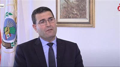 وزير الزراعة اللبناني: القصف الإسرائيلي أحرق 60 ألف شجرة زيتون 