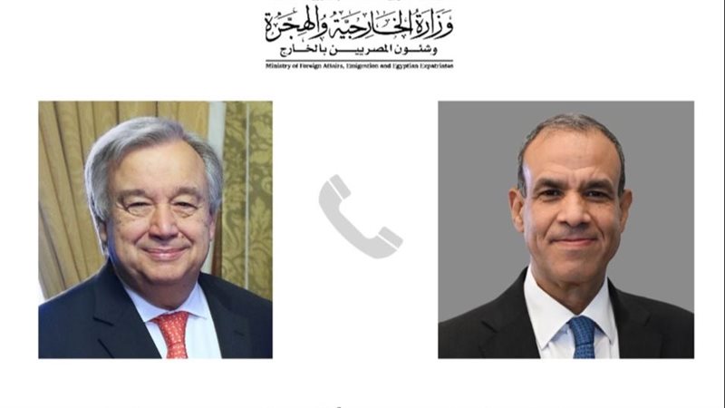 وزارة الخارجية والأمين