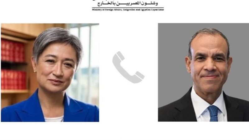 الدكتور بدر عبد العاطى