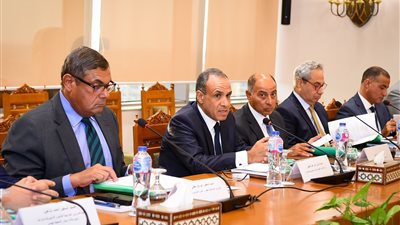 وزير الخارجية: مصر حريصة على الاستجابة للاحتياجات العاجلة للدول الأفريقية (صور) 