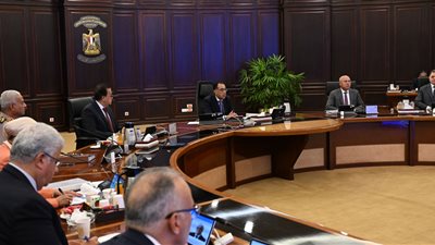  الحكومة توافق لـ 17 شركة على تخصيص قطع أراضي للبيع بالدولار من خارج البلاد 