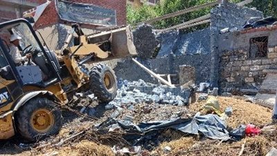 إزالة 17 حالة تعدي على الأراض الزراعية بالشرقية 