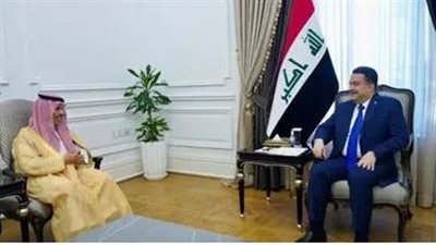 العراق والسعودية تؤكدان ضرورة تنسيق الجهود العربية والدولية لإيقاف الهجوم الإسرائيلي على غزة