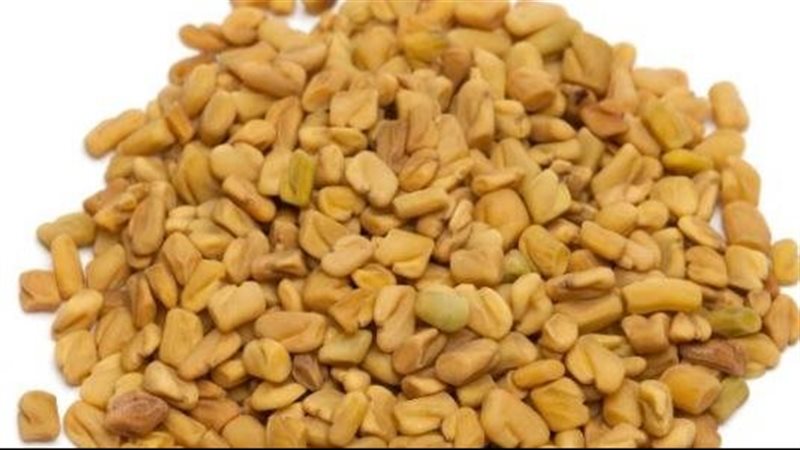 الحلبة, فيتو