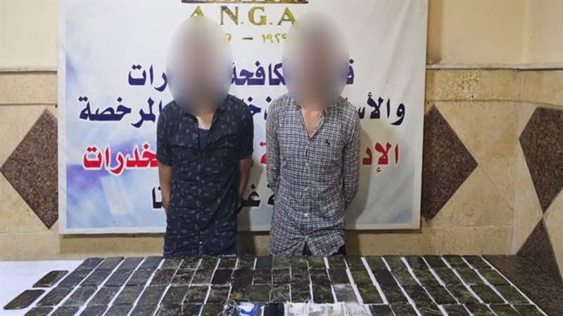 ضبط عناصر إجرامية