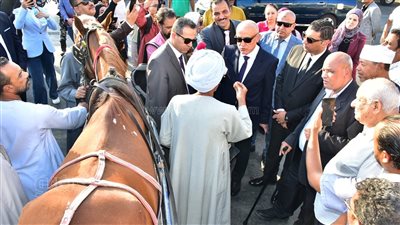  محافظ الأقصر: تفعيل الخط الساخن لحجز عربات الحنطور المرخصة 