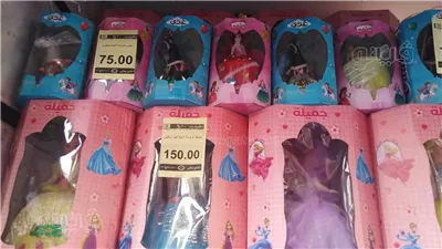 تصل إلى 350 جنيها، تعرف على أسعار عروسة المولد والحصان بالأسواق (صور)