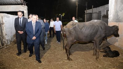 محافظ أسيوط يوجه بتركيب كاميرات مراقبة بمشروع مزارع المواشي