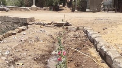 مبادرة 100 مليون شجرة تصل أرمنت (صور)