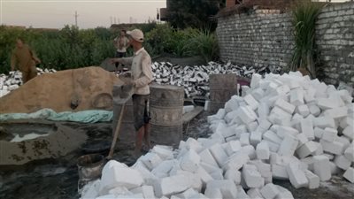 إزالة 41 حالة تعد بـ 9 مراكز في البحيرة 