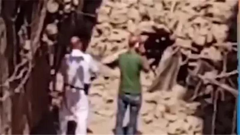 انهيار عقار، فيتو
