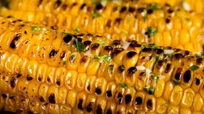 فوائد الذرة المشوية، تقوى المناعة والنظر وتساعد فى التحكم في الوزن 