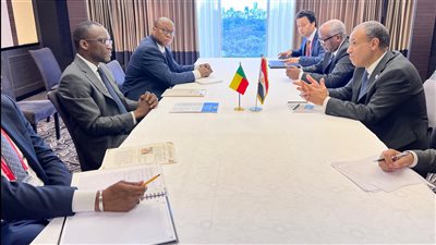 وزير الخارجية يؤكد اهتمام مصر بتعزيز التعاون الاقتصادي والتبادل التجاري مع بنين