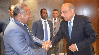 الكهرباء: مستعدون لتقديم خبراتنا إلى جيبوتي وتلبية احتياجاتها 